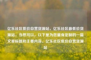 亿乐社区低价自营货源站,亿乐社区最低价货源站,当然可以。以下是为您量身定制的一篇文章标题和主要内容。亿乐社区低价自营货源站