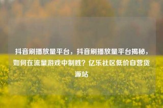 抖音刷播放量平台,抖音刷播放量平台揭秘,如何在流量游戏中制胜?亿乐社区低价自营货源站