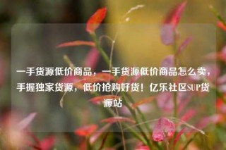 一手货源低价商品,一手货源低价商品怎么卖,手握独家货源,低价抢购好货!亿乐社区SUP货源站