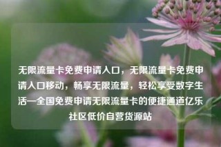 无限流量卡免费申请入口,无限流量卡免费申请入口移动,畅享无限流量,轻松享受数字生活—全国免费申请无限流量卡的便捷通道亿乐社区低价自营货源站