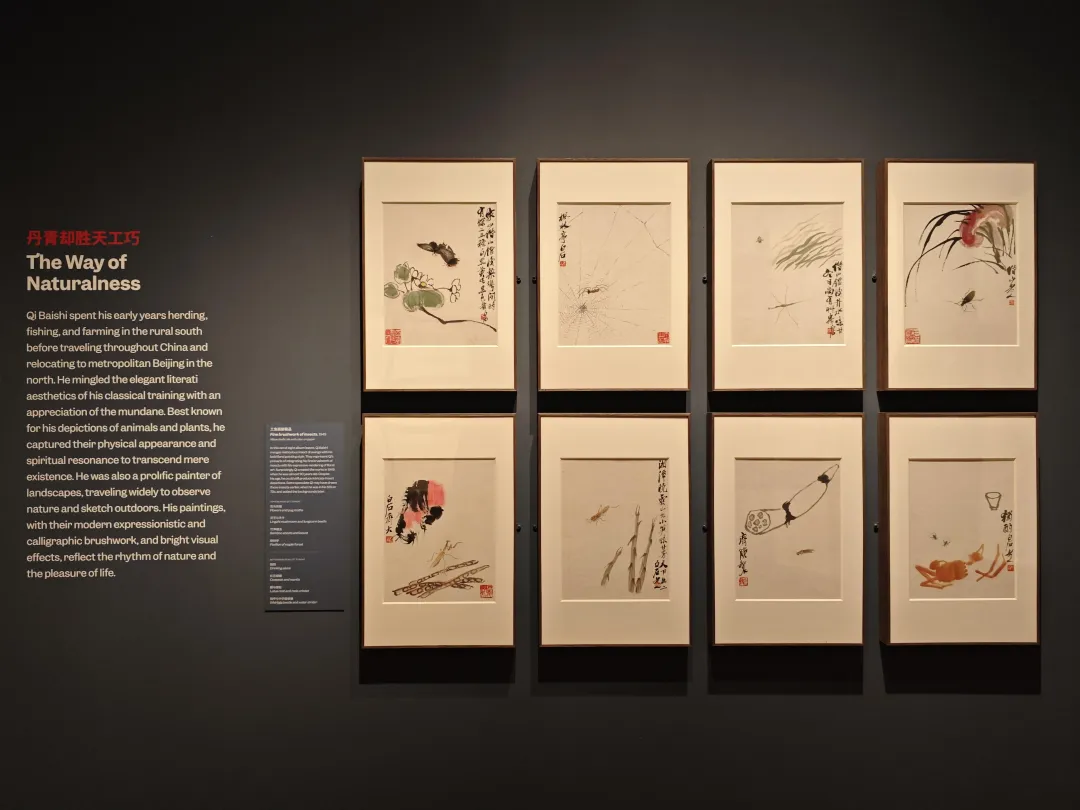 齐白石精品在波士顿展出，“白石画屋”呈现水墨挥洒  第9张