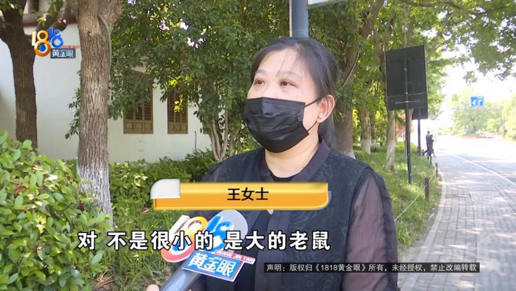 吃完饭一出包厢被大老鼠吓坏了，当事人：退一赔十  第1张