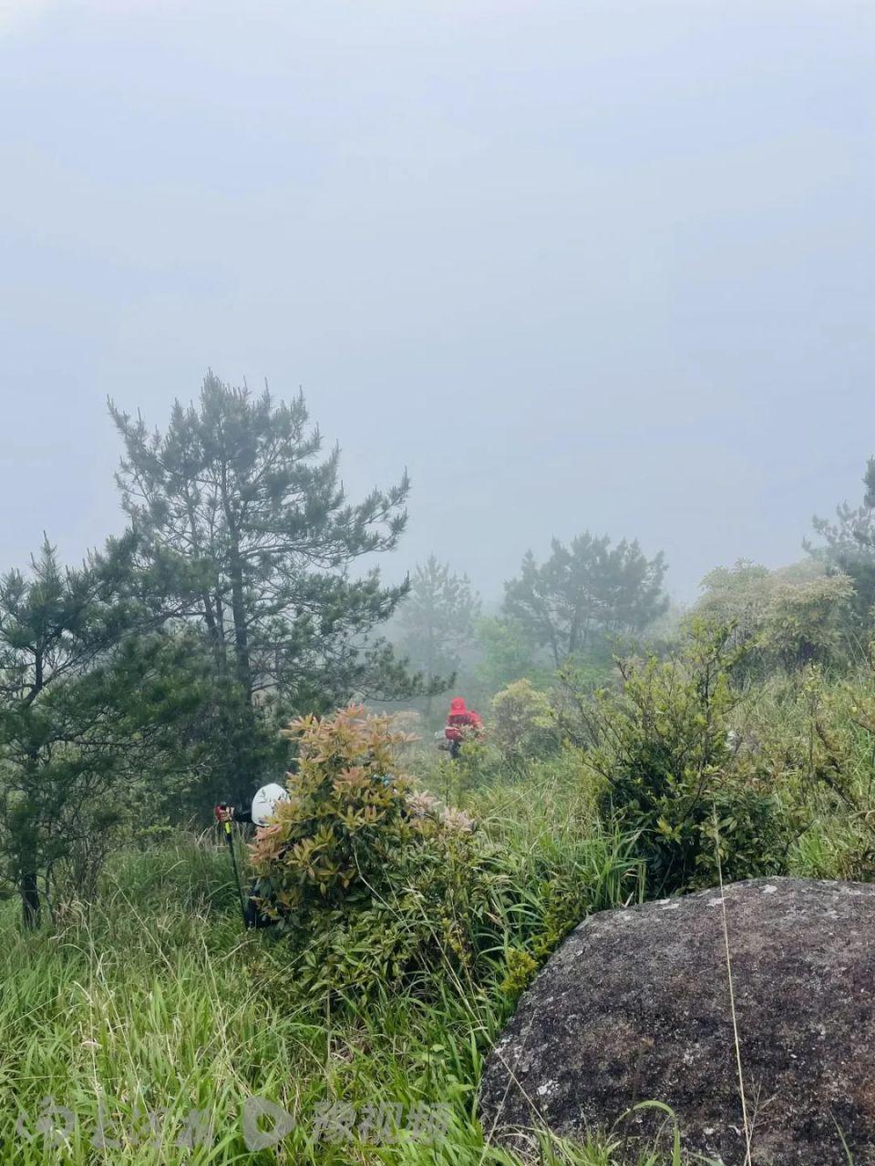 8岁男童登山失联12天	，搜救仍在继续，专业人士：是否终止救援主要看两点  第2张