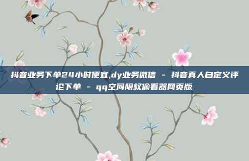 抖音业务下单24小时便宜,dy业务微信 - 抖音真人自定义评论下单 qq空间限权偷看器网页版  第1张