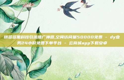 拼多多黑科技引流推广神器,空间访问量50000免费 - dy业务24小时免费下单平台 云商城app下载安卓  第1张