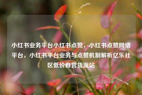 小红书业务平台小红书点赞，小红书点赞网络平台，小红书平台业务与点赞机制解析亿乐社区低价自营货源站  第1张