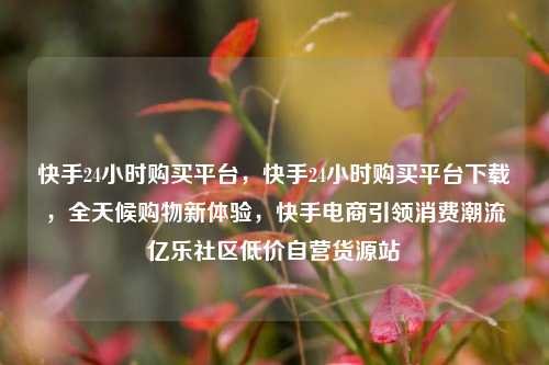快手24小时购买平台，快手24小时购买平台下载，全天候购物新体验，快手电商引领消费潮流亿乐社区低价自营货源站  第1张