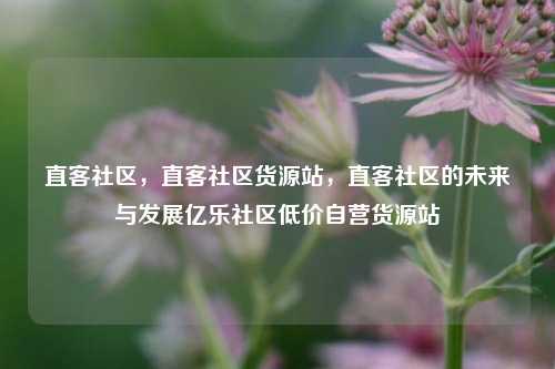 直客社区	，直客社区货源站，直客社区的未来与发展亿乐社区低价自营货源站  第1张