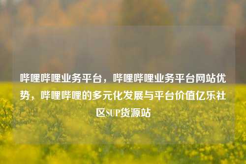 哔哩哔哩业务平台	，哔哩哔哩业务平台网站优势，哔哩哔哩的多元化发展与平台价值亿乐社区SUP货源站  第1张