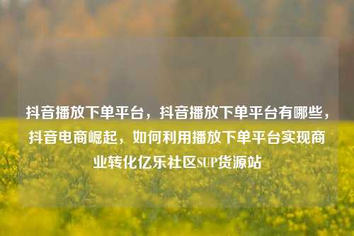 抖音播放下单平台，抖音播放下单平台有哪些	，抖音电商崛起，如何利用播放下单平台实现商业转化亿乐社区SUP货源站  第1张