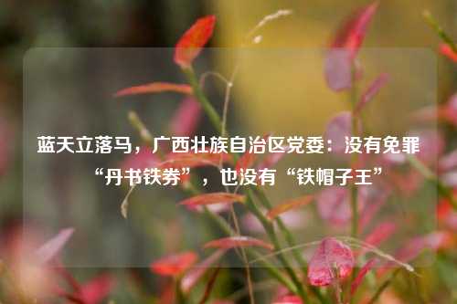 蓝天立落马	，广西壮族自治区党委：没有免罪“丹书铁券	”，也没有“铁帽子王”  第1张