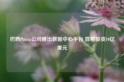 巴西Patria公司推出数据中心平台 首期投资10亿美元  第1张