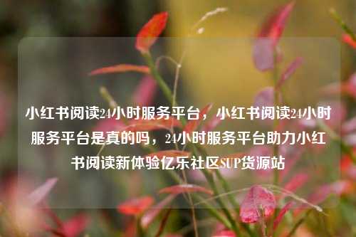 小红书阅读24小时服务平台，小红书阅读24小时服务平台是真的吗，24小时服务平台助力小红书阅读新体验亿乐社区SUP货源站  第1张