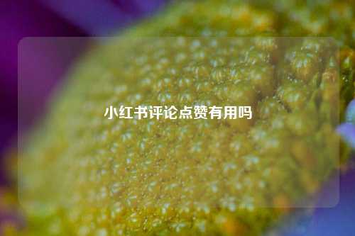 小红书评论点赞有用吗  第1张