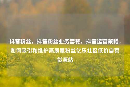 抖音粉丝，抖音粉丝业务套餐	，抖音运营策略，如何吸引和维护高质量粉丝亿乐社区低价自营货源站  第1张