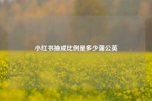 小红书抽成比例是多少蒲公英  第1张