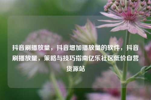抖音刷播放量，抖音增加播放量的软件，抖音刷播放量	，策略与技巧指南亿乐社区低价自营货源站  第1张