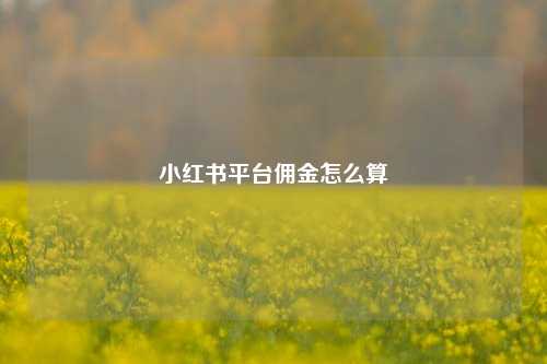 小红书平台佣金怎么算  第1张