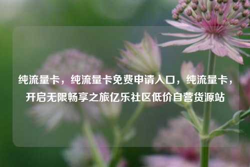 纯流量卡	，纯流量卡免费申请入口，纯流量卡，开启无限畅享之旅亿乐社区低价自营货源站  第1张