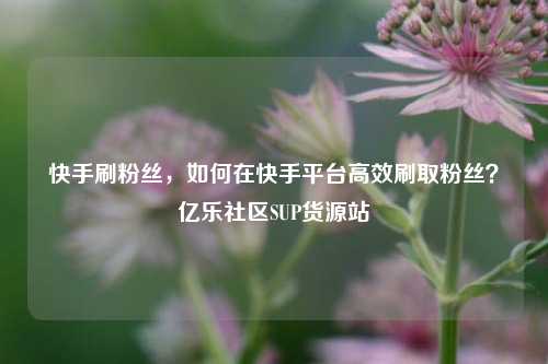 快手刷粉丝	，如何在快手平台高效刷取粉丝？亿乐社区SUP货源站  第1张