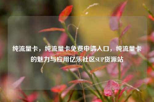 纯流量卡，纯流量卡免费申请入口，纯流量卡的魅力与应用亿乐社区SUP货源站  第1张
