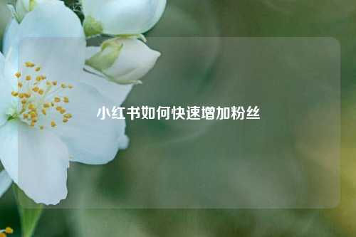 小红书如何快速增加粉丝  第1张