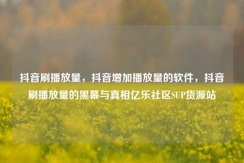 抖音刷播放量，抖音增加播放量的软件，抖音刷播放量的黑幕与真相亿乐社区SUP货源站  第1张