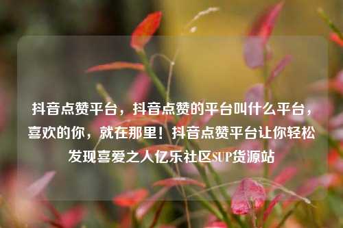 抖音点赞平台	，抖音点赞的平台叫什么平台，喜欢的你，就在那里！抖音点赞平台让你轻松发现喜爱之人亿乐社区SUP货源站  第1张