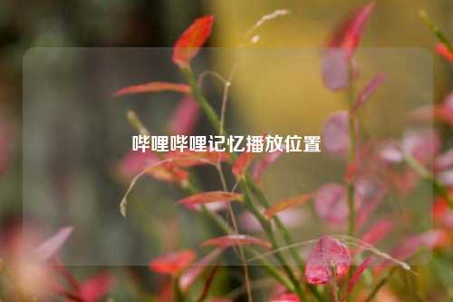 哔哩哔哩记忆播放位置  第1张