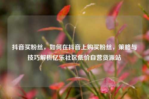 抖音买粉丝	，如何在抖音上购买粉丝，策略与技巧解析亿乐社区低价自营货源站  第1张