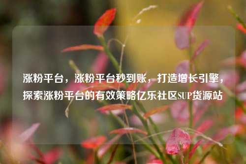 涨粉平台，涨粉平台秒到账，打造增长引擎	，探索涨粉平台的有效策略亿乐社区SUP货源站  第1张
