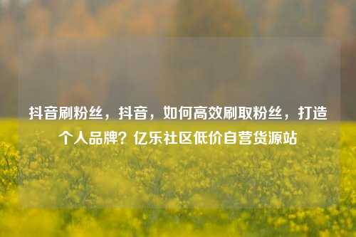 抖音刷粉丝，抖音，如何高效刷取粉丝	，打造个人品牌？亿乐社区低价自营货源站  第1张