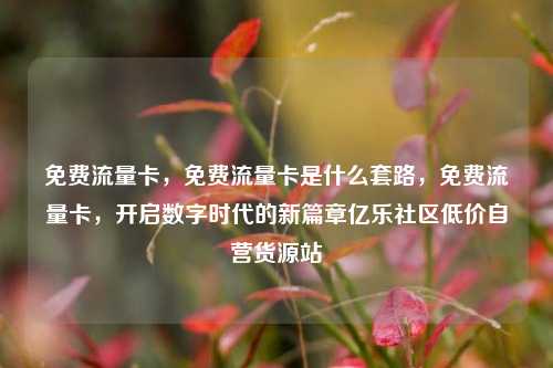 免费流量卡，免费流量卡是什么套路，免费流量卡	，开启数字时代的新篇章亿乐社区低价自营货源站  第1张